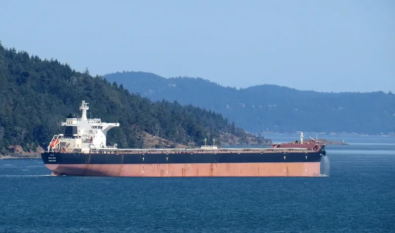 CSSC WAN MEI Bulk Carrier IMO 9661871 photo 9