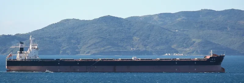 CSSC WAN MEI Bulk Carrier IMO 9661871 photo 10