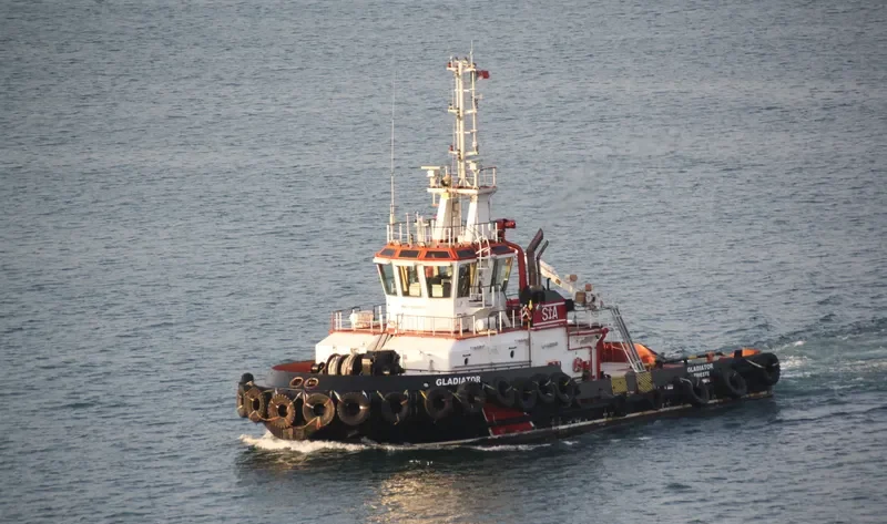 GLADIATOR Bulk Carrier IMO 9662057
