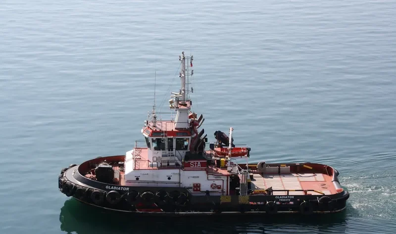 GLADIATOR Bulk Carrier IMO 9662057 photo 2
