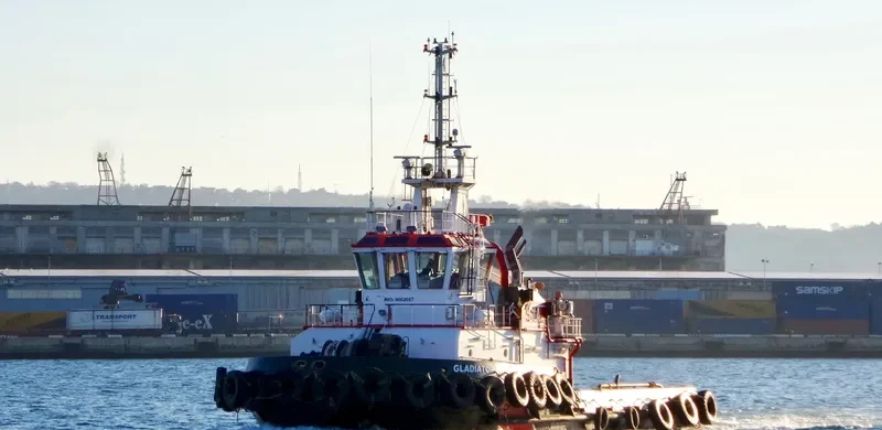 GLADIATOR Bulk Carrier IMO 9662057 photo 5