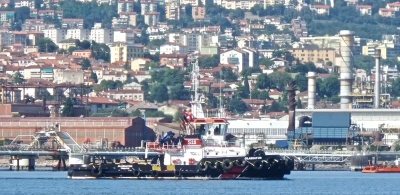 GLADIATOR Bulk Carrier IMO 9662057 photo 10