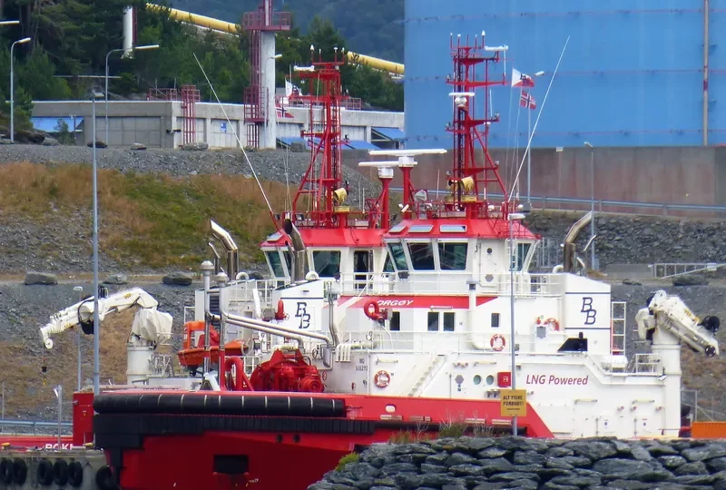 BORGOEY General Cargo IMO 9662112