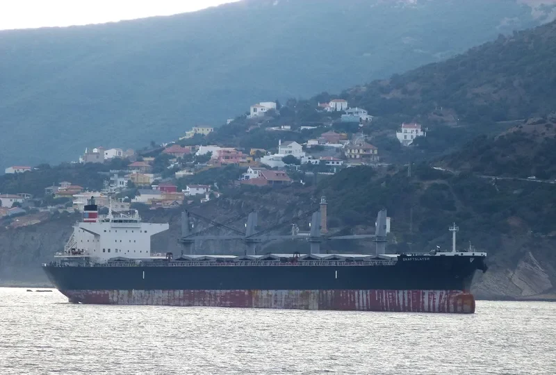 DRAFTSLAYER Bulk Carrier IMO 9662318