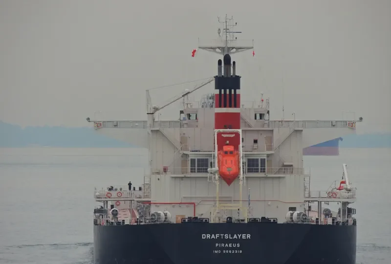 DRAFTSLAYER Bulk Carrier IMO 9662318 photo 2