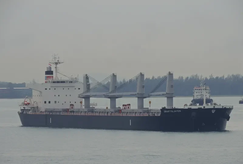 DRAFTSLAYER Bulk Carrier IMO 9662318 photo 5