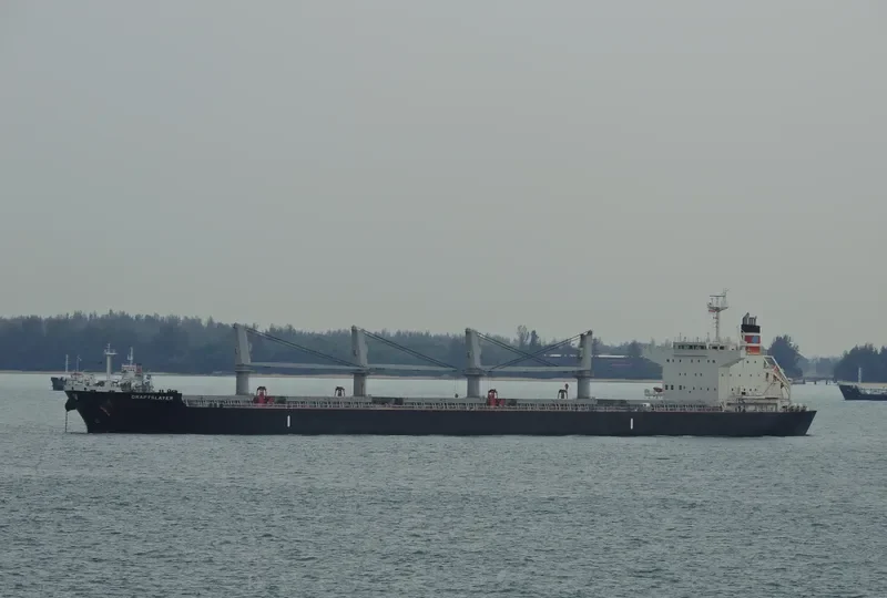 DRAFTSLAYER Bulk Carrier IMO 9662318 photo 6