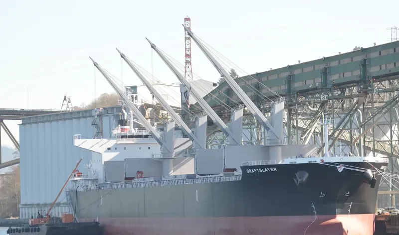 DRAFTSLAYER Bulk Carrier IMO 9662318 photo 7