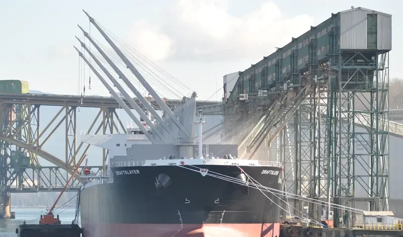 DRAFTSLAYER Bulk Carrier IMO 9662318 photo 8