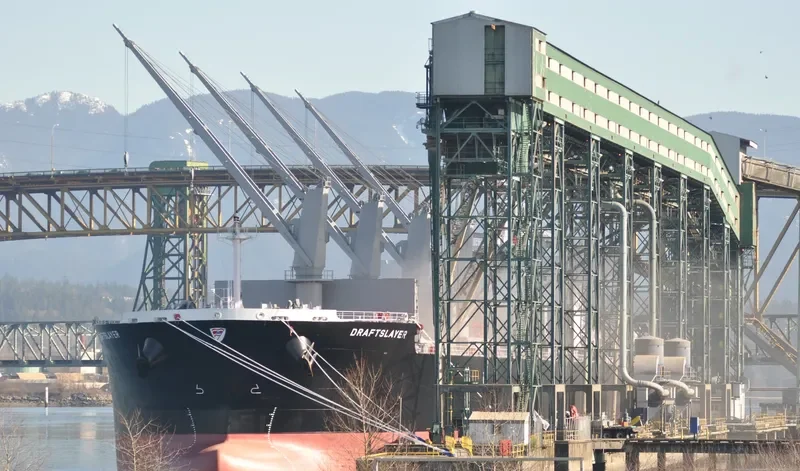 DRAFTSLAYER Bulk Carrier IMO 9662318 photo 9
