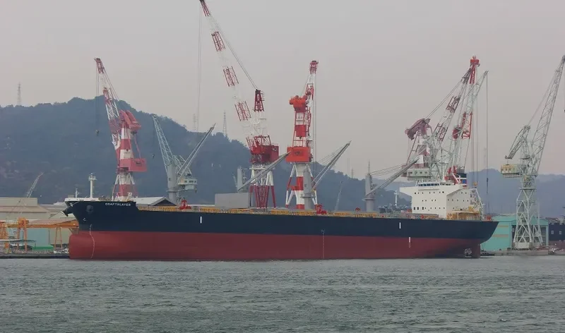 DRAFTSLAYER Bulk Carrier IMO 9662318 photo 10