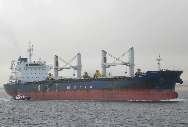 DODO Bulk Carrier IMO 9662320