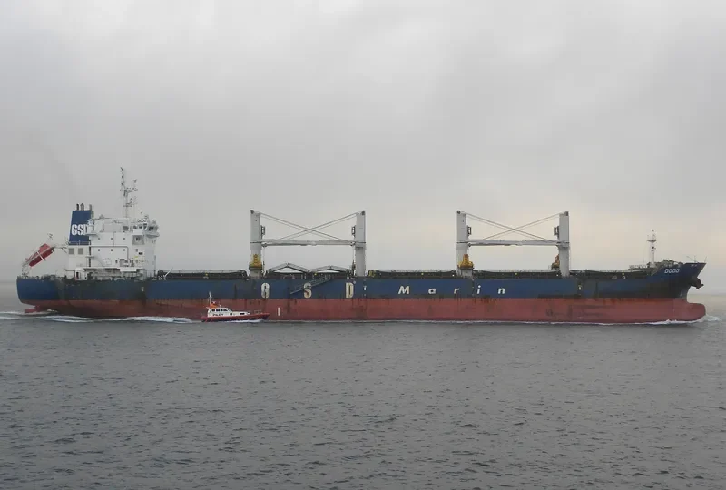 DODO Bulk Carrier IMO 9662320 photo 2