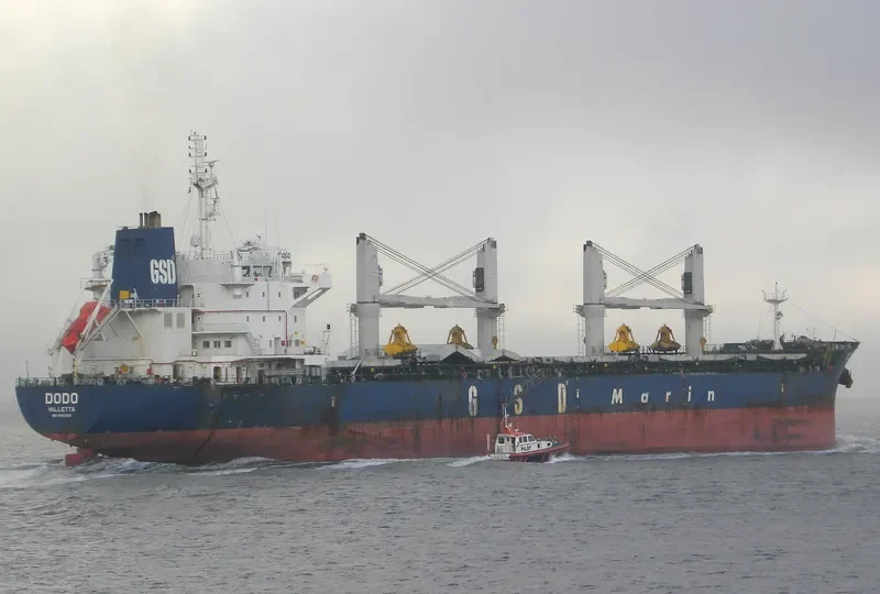 DODO Bulk Carrier IMO 9662320 photo 3