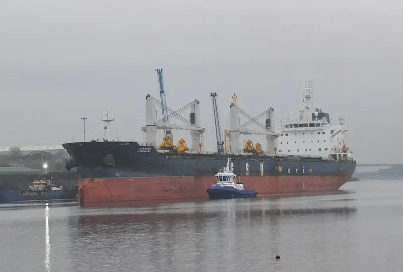 DODO Bulk Carrier IMO 9662320 photo 4
