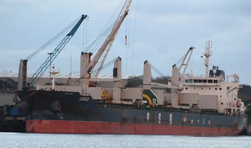 DODO Bulk Carrier IMO 9662320 photo 5