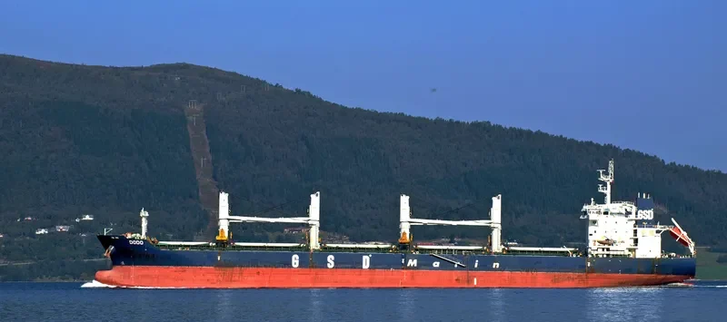 DODO Bulk Carrier IMO 9662320 photo 7