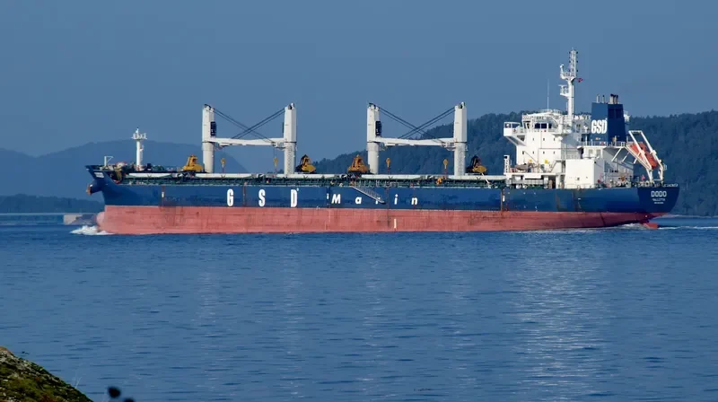 DODO Bulk Carrier IMO 9662320 photo 8
