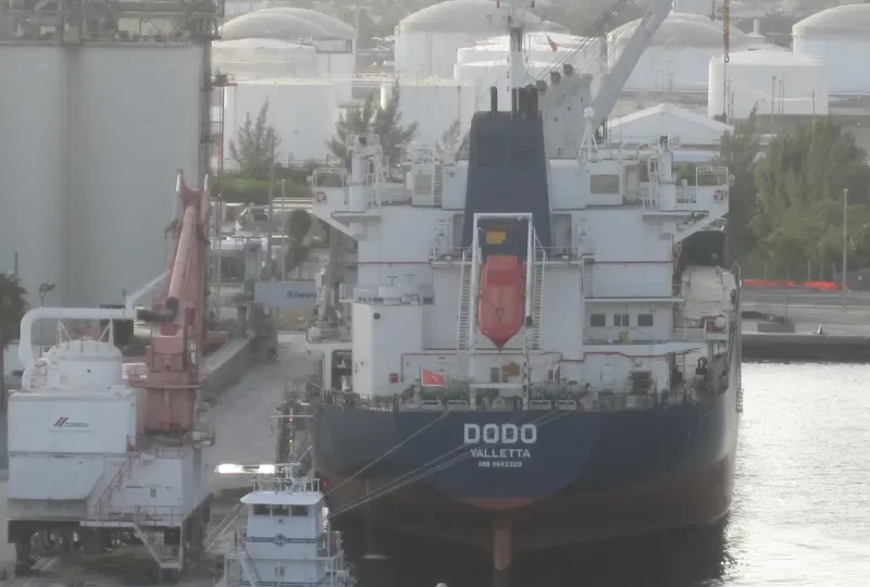 DODO Bulk Carrier IMO 9662320 photo 9