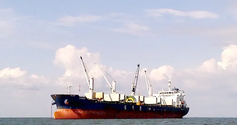 CANO Bulk Carrier IMO 9662332 photo 3