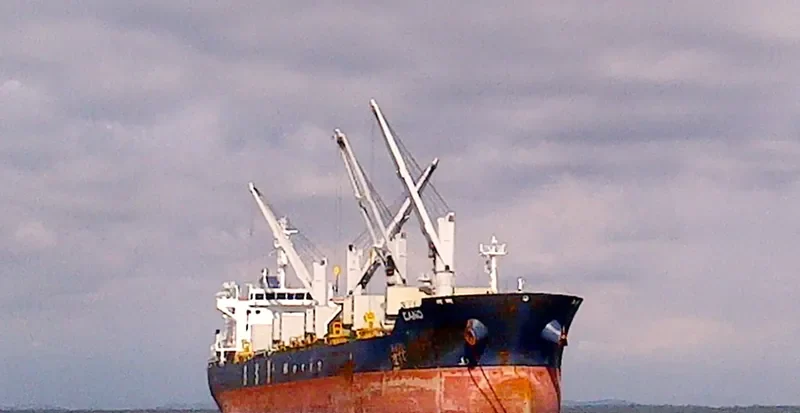 CANO Bulk Carrier IMO 9662332 photo 4