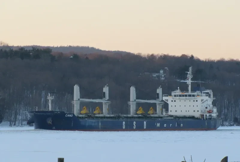 CANO Bulk Carrier IMO 9662332 photo 7
