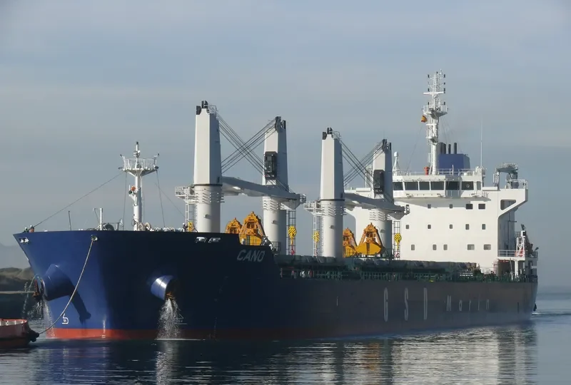 CANO Bulk Carrier IMO 9662332 photo 10