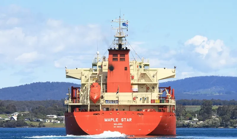 MAPLE STAR Bulk Carrier IMO 9662370 photo 2