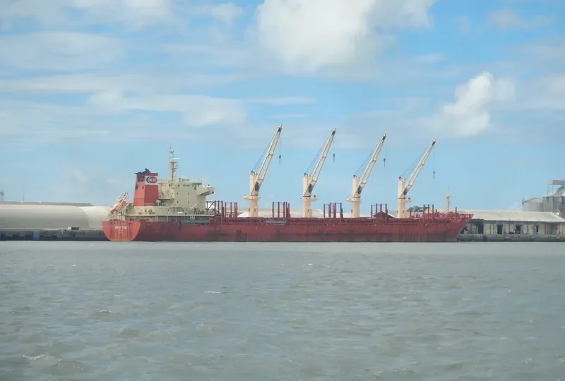 MAPLE STAR Bulk Carrier IMO 9662370 photo 4