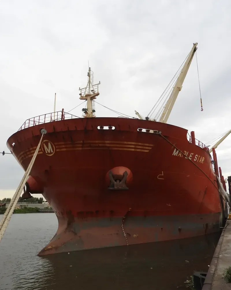 MAPLE STAR Bulk Carrier IMO 9662370 photo 6