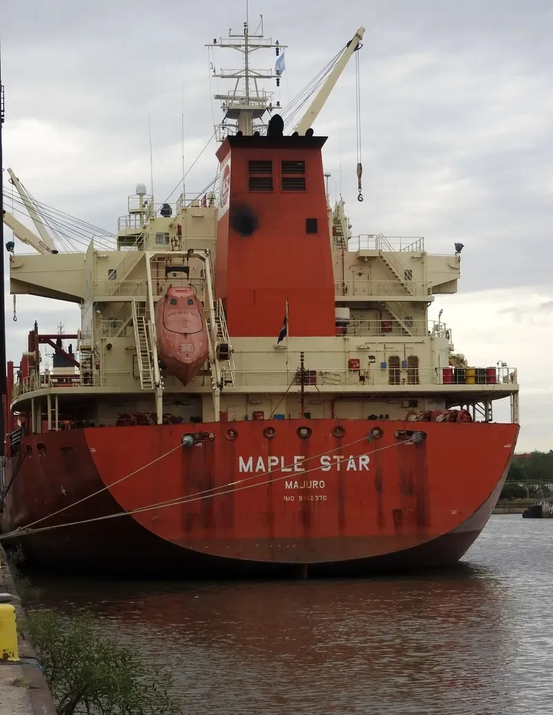 MAPLE STAR Bulk Carrier IMO 9662370 photo 7