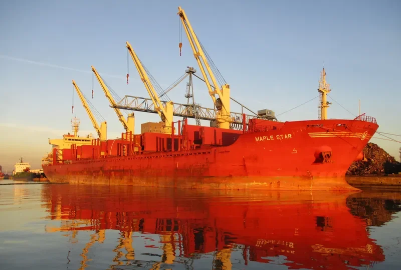 MAPLE STAR Bulk Carrier IMO 9662370 photo 8
