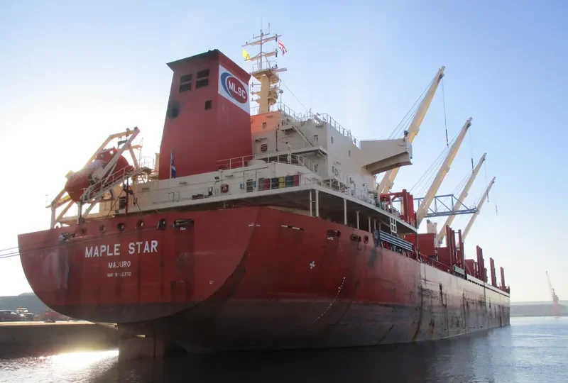 MAPLE STAR Bulk Carrier IMO 9662370 photo 10