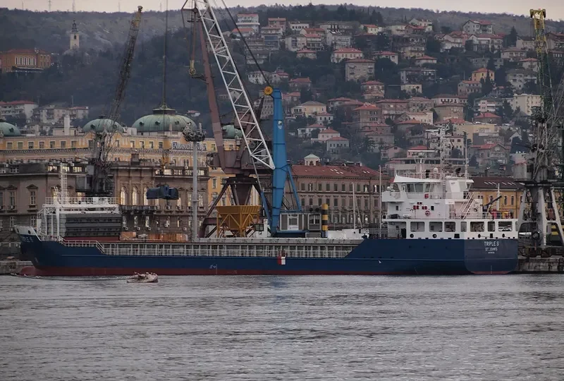 TRIPLE S General Cargo IMO 9662382 photo 2
