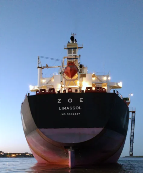 ZOE Bulk Carrier IMO 9662447