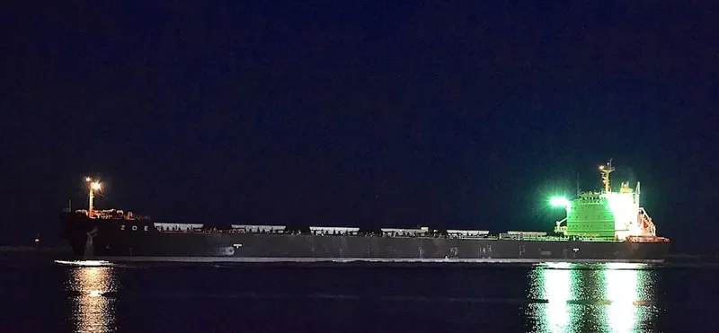 ZOE Bulk Carrier IMO 9662447 photo 2