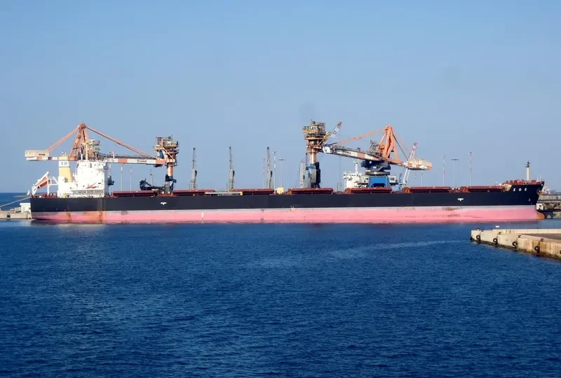 ZOE Bulk Carrier IMO 9662447 photo 4