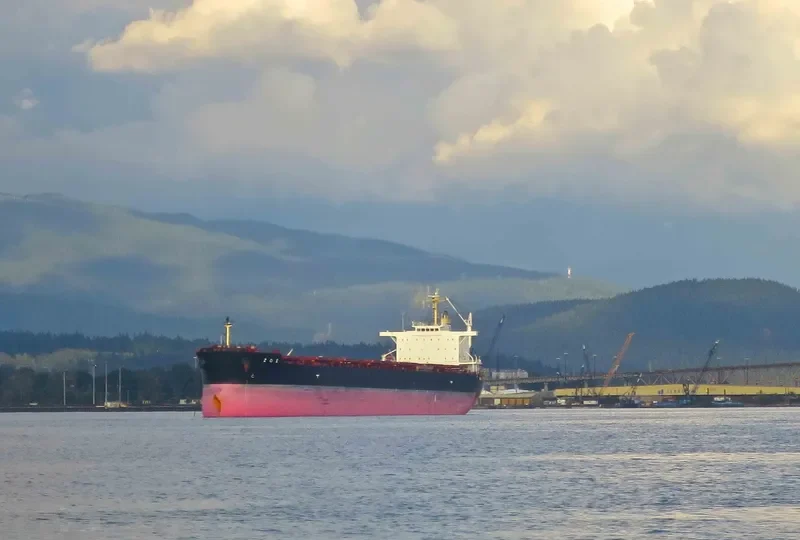 ZOE Bulk Carrier IMO 9662447 photo 6