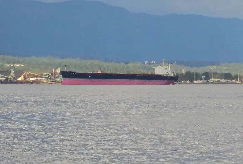 ZOE Bulk Carrier IMO 9662447 photo 7