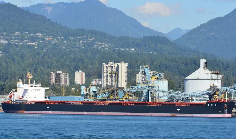 ZOE Bulk Carrier IMO 9662447 photo 9