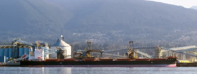 ZOE Bulk Carrier IMO 9662447 photo 10