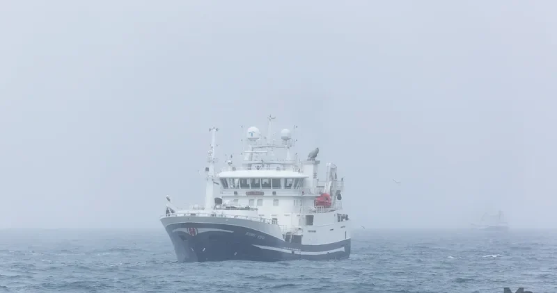 OESTERBRIS General Cargo IMO 9662526 photo 4