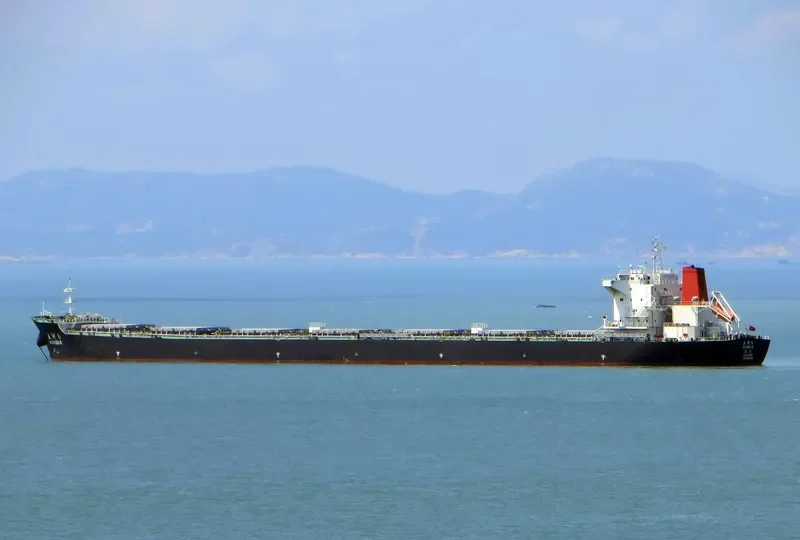 WU ZHOU 6 Bulk Carrier IMO 9662758 photo 2