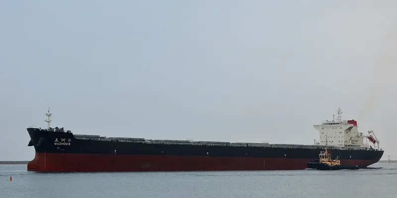 WU ZHOU 8 Bulk Carrier IMO 9662760