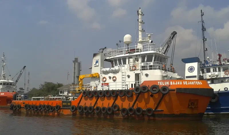 TELUK BAJAU SEJAHTERA Offshore Vessel IMO 9662966 photo 3