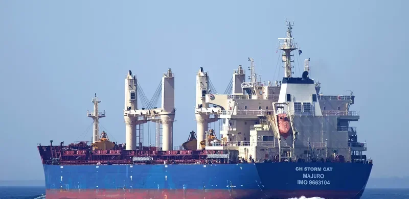 EAUBONNE Bulk Carrier IMO 9663104 photo 2