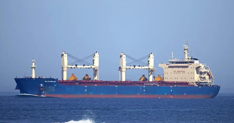 EAUBONNE Bulk Carrier IMO 9663104 photo 3