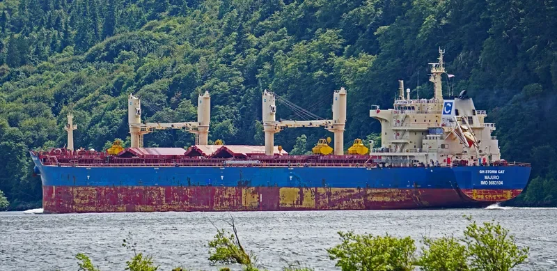 EAUBONNE Bulk Carrier IMO 9663104 photo 6