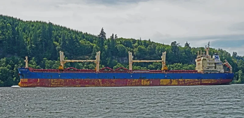 EAUBONNE Bulk Carrier IMO 9663104 photo 7