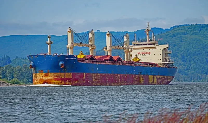 EAUBONNE Bulk Carrier IMO 9663104 photo 9